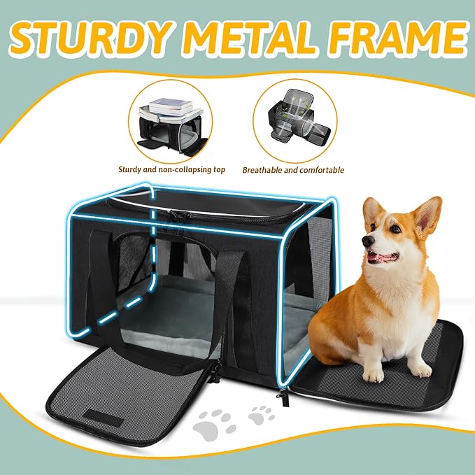 Petskd Small Pet Carrier 18" L x 11" W x 11" H Airline Approved, Black | for Delta/American/United Airlines, Lockable Safety Zippers and Anti-Scratch Mesh, Pets Under 10 lbs