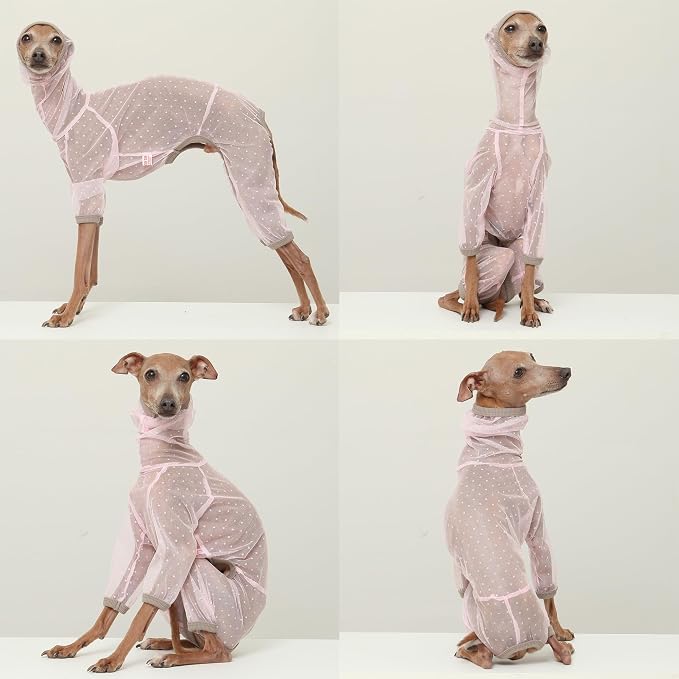 D Doggy Star Italian Greyhound Clothes Sheer Mesh Onesie Summer Jumpsuit Breathable Full Body Protection for Outdoor Walks Small Whippet Fit (L,Sheer Mesh Pink)
