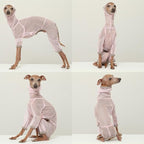 D Doggy Star Italian Greyhound Clothes Sheer Mesh Onesie Summer Jumpsuit Breathable Full Body Protection for Outdoor Walks Small Whippet Fit (2XL,Sheer Mesh Pink)