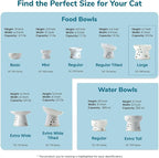 Necoichi Ceramic Raised Cat Food Bowl, Whisker-Friendly (Fuji, Large Flat)