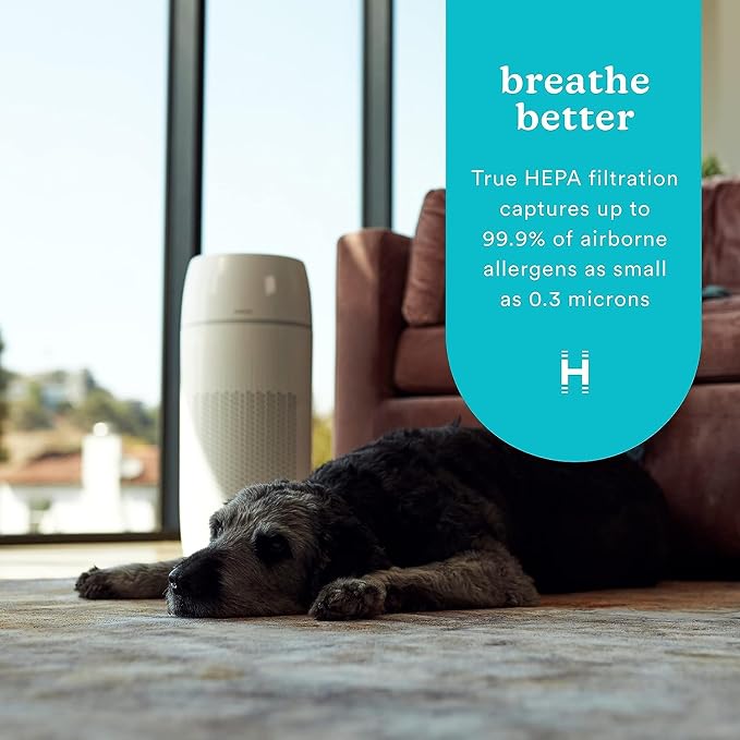Homedics 5-in-1 PetPlus UV-C Air Purifier, HEPA Filter for 266 Sq Ft Room | Air Purifiers for Pets, Bedroom, and Home with Essential Oil Pads and Built-In Timer, 3 Speed Settings, White