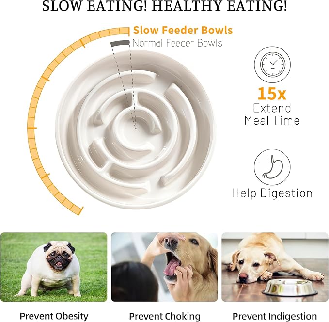 Ceramic Slow Feeder Dog Bowl,1.5 Cups Pet Slow Feeder for Small and Medium Breed,Puzzle Dog Food Dish,Anti-Gulping,Stop Bloat,Preventing Choking(White)