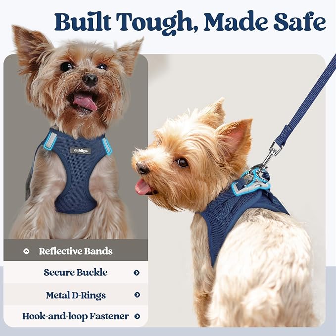 rabbitgoo Dog Harness Small Sized and Leash Set, Step-in Puppy Pet Vest | Light, Soft, Breathable Air Mesh, Easy on and Remove with Hook & Loop, Secure Reflective for Walking, Navy Blue XXS