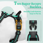 rabbitgoo Dog Harness, No Pull for Large Dogs with 2 Leash Clips, Pet Vest | No Choke with Handle, Adjustable Soft Padded, Reflective, Easy Control for Walking, Turquoise, X-Large