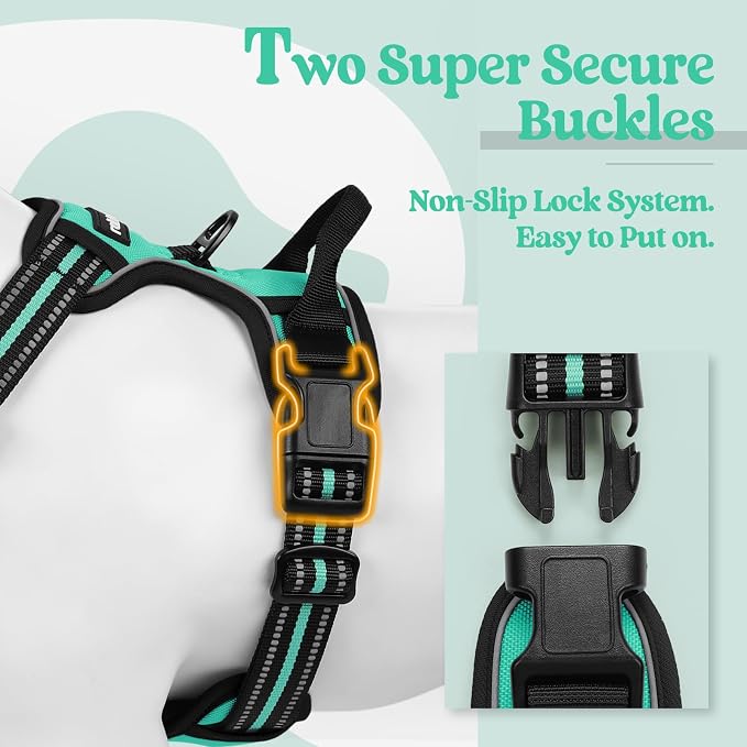rabbitgoo Dog Harness, No Pull for Large Dogs with 2 Leash Clips, Pet Vest | No Choke with Handle, Adjustable Soft Padded, Reflective, Easy Control for Walking, Turquoise, X-Large