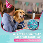 QDAN Dog Toys Soccer Ball with Straps, Pool Dog Water Toy, Outside Ball | 6 Inch Herding Ball for Small Dogs, Puppy Toy, Outdoor Toys Balls for Dogs to Keep Them Busy, Dog Birthday Gift, Lake Blue