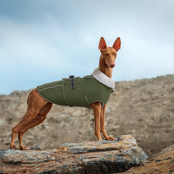 Lelepet Dog Coats for Large Dogs Waterproof Dog Jacket with Adjustable Fit | Windproof Cold Weather Coats with Adjustable Buckle & Leash Hole Reflective Winter Jackets for Extra Large Dogs, XXXL