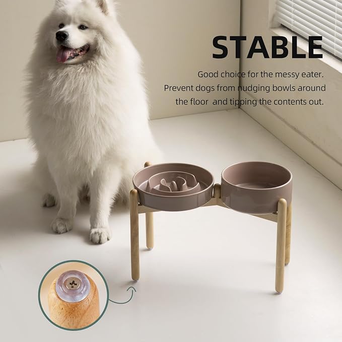 Havniva Elevated Slow Feeder Dog Bowls, Ceramic Dog Bowl Slow Feeder Set | 3.2 Cups Raised Slow Feeding Bowl for Large Breed, 8.2” Dog Water Bowl with Wooden Stand, Puzzle Dog Slow Feeder, Non-slip