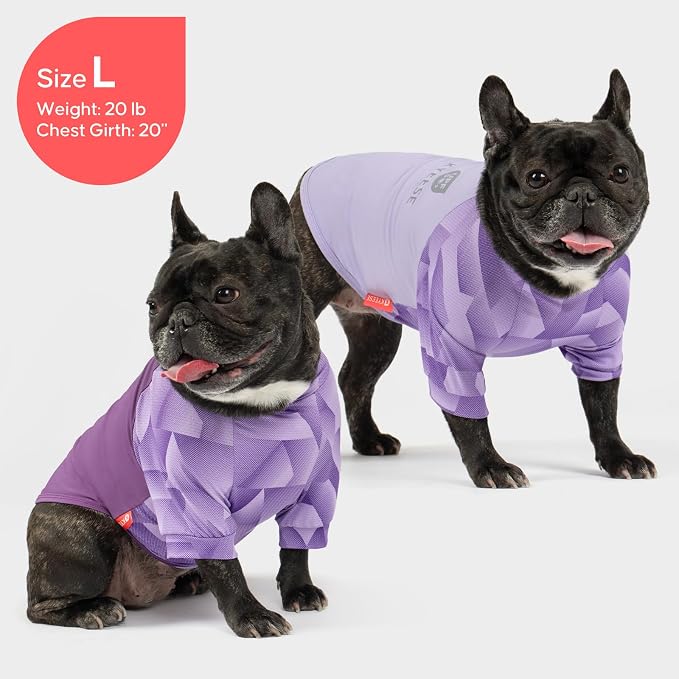 KYEESE 2Pack UV Protection Dog Shirt, UPF 50+ Cooling Dog T Shirts for Small Dogs Boy Girl, Breathable Reflective Dogs Sun Shirts with Sleeves Summer Puppy Clothes, Purple, S