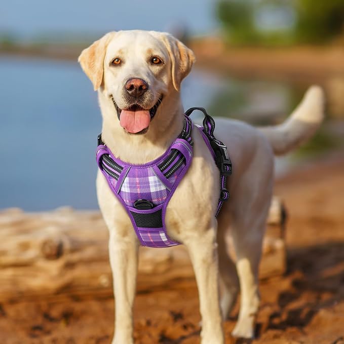 rabbitgoo Dog Harness, No Pull for Large Dogs with 2 Leash Clips, Pet Vest | No Choke with Handle, Adjustable Soft Padded, Reflective, Easy Control for Walking, Purple Plaid, X-Large
