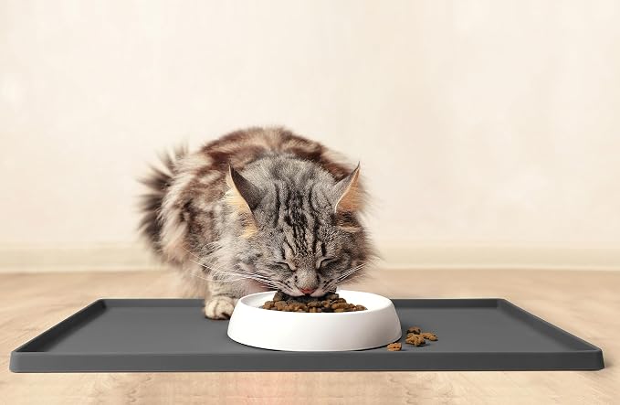 CatGuru Cat Bowls, Original Whisker-Friendly Pet Bowl for Wet & Dry Food | Wide, shallow food dish lets cats reach every bite comfortably reducing food waste. Nonslip. Dishwasher safe/ Ceramic
