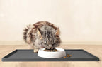 CatGuru Cat Bowls, Original Whisker-Friendly Pet Bowl for Wet & Dry Food | Wide, shallow food dish lets cats reach every bite comfortably reducing food waste. Nonslip. Dishwasher safe/ Marshmallow