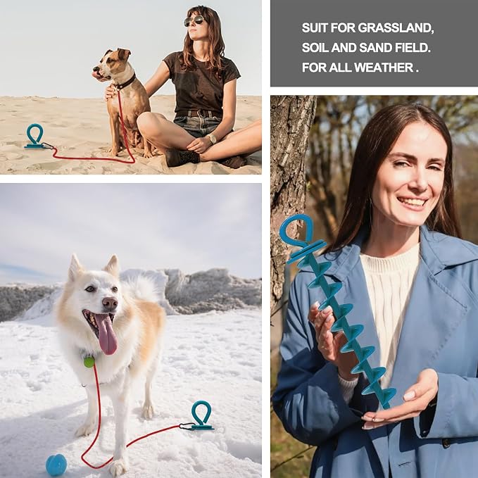 Eurmax USA 2-Pack Heavy Duty Dog Tie Out Stake, No-Tangle In Ground Anchor Runner for Large Dogs up to 210 Lbs - Perfect for Yard, Beach and Camping (Large,Navy Blue)