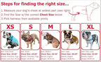 BULLHUG Adjustable Dog Harness– No Pull, No Choke – for English Bulldogs, French Bulldogs, Pugs & Broad-Chested Breeds – Easy, Safe Walks (Pink Floral, Small)