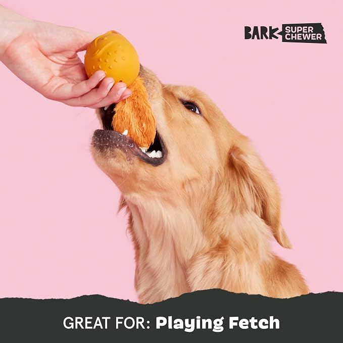 BarkBox Franz The Fox Dog Toy | Natural Rubber, Bacon Scented, Thrashy Tail & Wacky Bounce | Dog Toy for Aggressive Chewers