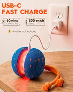 Xeuch Interactive Dog Toys, Automatic Irregular Moving and Rolling Dog Ball with 2 Speed Modes, E-TPU Material, Motion Activated Pet Toys with Rope for Dogs Puppies, Dog Stimulation Toy (Blue) | 2 Speed Modes, E-TPU Material, Motion Activated Pet Toys ...
