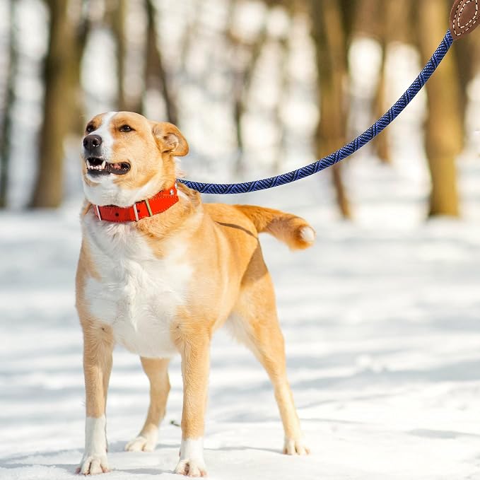 Mile High Life Dog Leash with Genuine Leather Connection, 6 FT/5 FT/4 FT | Rope Leash, Heavy Duty 360° Swivel Metal Clasp, for Small Medium & Large Dogs (Blue, 48 Inch)