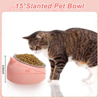 7 Pcs Raised Cat Food Bowl Stainless Steel Tilted Feeding for Little Cat Raised 15° Elevated Pet Dish for Kitten Puppy Anti-Slip Detachable Pet Stainless Steel Slope Base Food Bowl with 5 Food Scoop