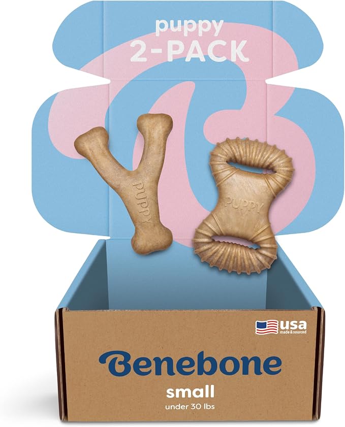 Benebone Puppy 2-Pack Dental/Wishbone Dog Chew Toys, Real Chicken, Small