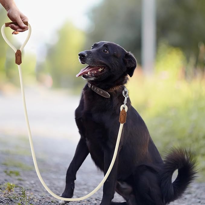 Mile High Life Dog Leash with Genuine Leather Handle, 6 FT/5 FT/4 FT | Leather Grip Rope Leash, Heavy Duty 360° Swivel Metal Clasp, for Small Medium & Large Dogs