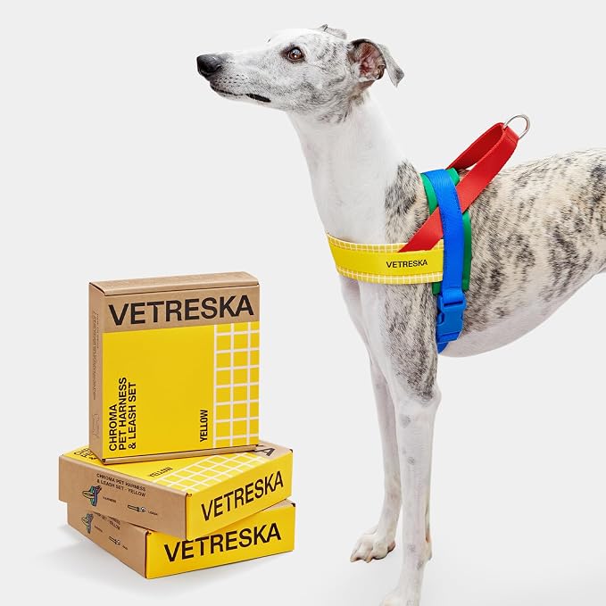 VETRESKA MoMA Dog Harness and Leash Set, Easy Walk Dog Harness (Yellow, L) | for Large Dogs, No Pull Puppy Harness for Walking and Training, Adjustable, Take Control & Anti-Twist Pet Lead Combo