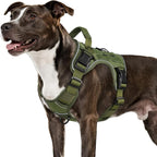 WINGOIN Green Tactical Dog Harness for Medium Dogs, Heavy Duty No Pull Dog Harness with Handle, Adjustable Reflective Military K9 Pet Vest for Pitbull, Female, Male, Walking, Training, Hunting (M) | Heavy Duty with Handle,Adjustable Reflective,Military...