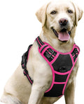 rabbitgoo Dog Harness, No Pull for Large Dogs with 2 Leash Clips, Pet Vest | No Choke with Handle, Adjustable Soft Padded, Reflective, Easy Control for Walking, Black & Hot Pink, Large