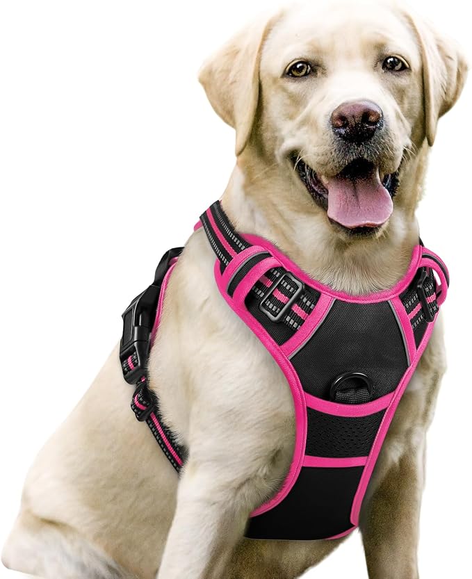 rabbitgoo Dog Harness, No Pull for Large Dogs with 2 Leash Clips, Pet Vest | No Choke with Handle, Adjustable Soft Padded, Reflective, Easy Control for Walking, Black & Hot Pink, Large
