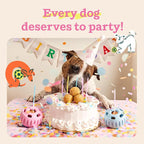 WOOF Party Pupsicle - Long-Lasting Interactive Dog Toys for Boredom - Low-Mess Design - Birthday Gifts for Dogs - Small Dog Toys - Buddy Blue