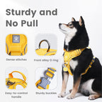 Pawaii No Pull Dog Harness with Pet ID Tag, Reflective Vest | Built for safer walks with a QR Pet ID Tag, front no pull clip, reflective trim, control handle and breathable mesh lining