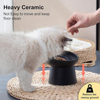 YauYik Ceramic Elevated Cat Bowls - 15°Tilted Cat Food Bowls for Indoor Cats, Whisker Fatigue Relief Shallow Cat Bowl, Anti Vomiting Raised Cat Feeding Bowls,8 Ounces, Black, 2 Pack