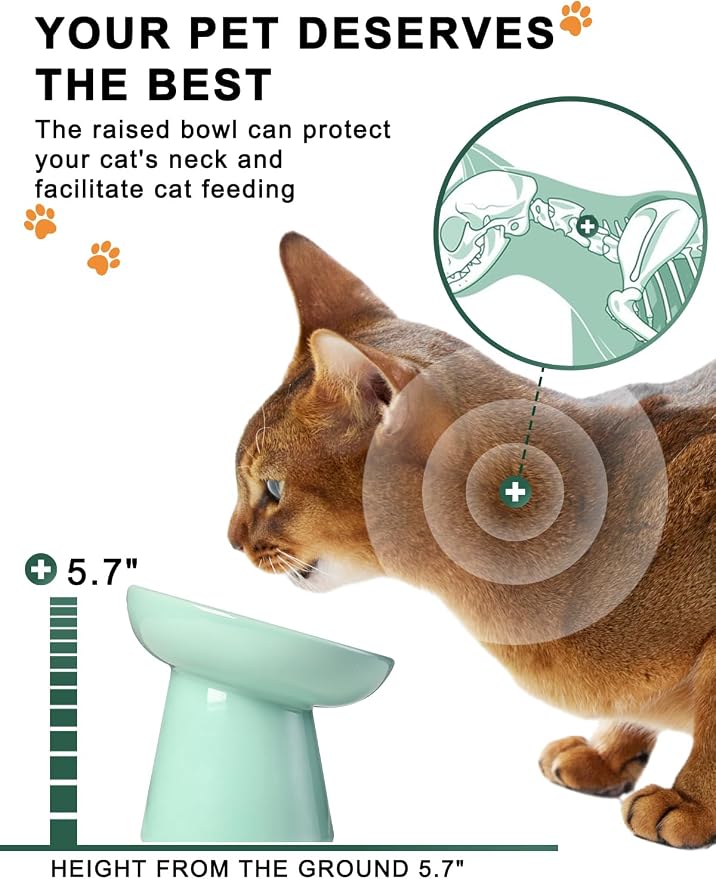 Y YHY Slow Feeder Cat Bowl, Ceramic Cat Slow Feeder Bowl, 6 Inches, Elevated, Anti Vomiting for Dry and Wet Food, Green