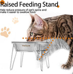 Elevated Cat Bowls, Wide Stainless Steel Cat Food Bowls with Metal Stand Whisker Stress-Free, Raised Food and Water Dish for Cats, Kitten, Puppies and Small Dogs