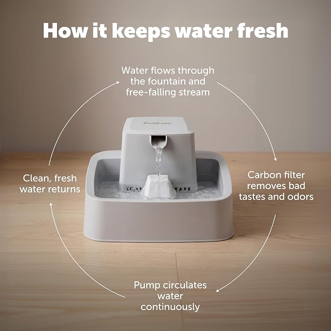 PetSafe Oasys Pet Fountain, 1/2 Gallon, Cats & Small Dogs, 4-Pack Filters | Adjustable Flow Control, Open Bowl, Whisker-Friendly Tray, Replaceable Carbon & Foam Filters Included
