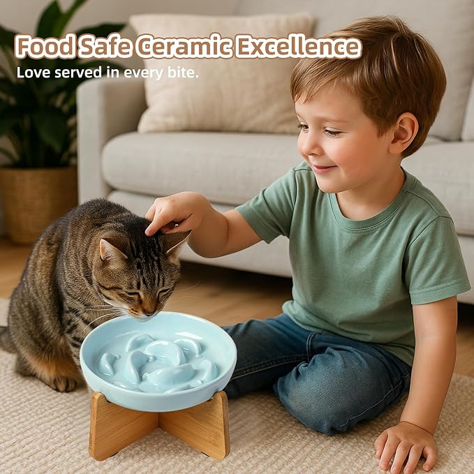 Elevated Ceramic Slow Feeder Cat Bowl, 6.3'' Wide Whisker Friendly | Slow Eating 5x, Anti Vomit Shallow Slow Eating Cat Dish, 3.7" H Raised Cat Puzzle Feeder for Dry and Wet Food, 6.3" X 1.2"