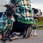 Spark Paws Dog Hoodie – Premium Dog Sweater for Small, Medium, and Large Dogs | Warm Outfits for French Bulldogs, Pitbull, Puppy, Winter Jacket Alternative - Green Plaid - S