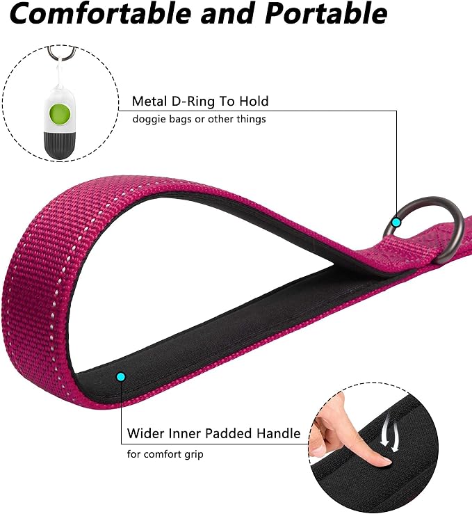 PetiFine 4FT Heavy Duty Dog Leash with Soft Padded Double Handle | Traffic Handle Extra Control,Auto Lock Hook,Reflective Nylon Walking Lead for Large,Medium,Small Breed Dogs
