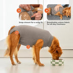 Suitical - The Original Dog Surgery Recovery Suit - Replace E-Collar & Cone - Spay, Neuter, Wounds, Prevent Licking - XSmall - Neck to Tail 15.7-17.7in - Chest 18-24in - Weight 18-28lbs Sandstone Grey