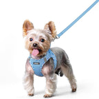 rabbitgoo Dog Harness Small Sized and Leash Set, Step-in Puppy Pet Vest | Light, Soft, Breathable Air Mesh, Easy on and Remove with Hook & Loop, Secure Reflective for Walking, Blue & Plaid Trim XS