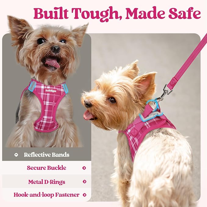 rabbitgoo Dog Harness Medium Sized and Leash Set, Step-in Puppy Pet Vest | Light, Soft, Breathable Air Mesh, Easy on and Remove with Hook & Loop, Secure Reflective for Walking, Rose Red Plaid L
