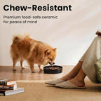Ceramic Slow Feeder Dog Bowls 0.6 Cups for Small Fast Eaters,White | Reduces Bloating,6.02x1.38 Inch Dish For Daily Dog Meals, Maze Puzzle Slows Down Eating, Anti-Choking,9.0oz Water