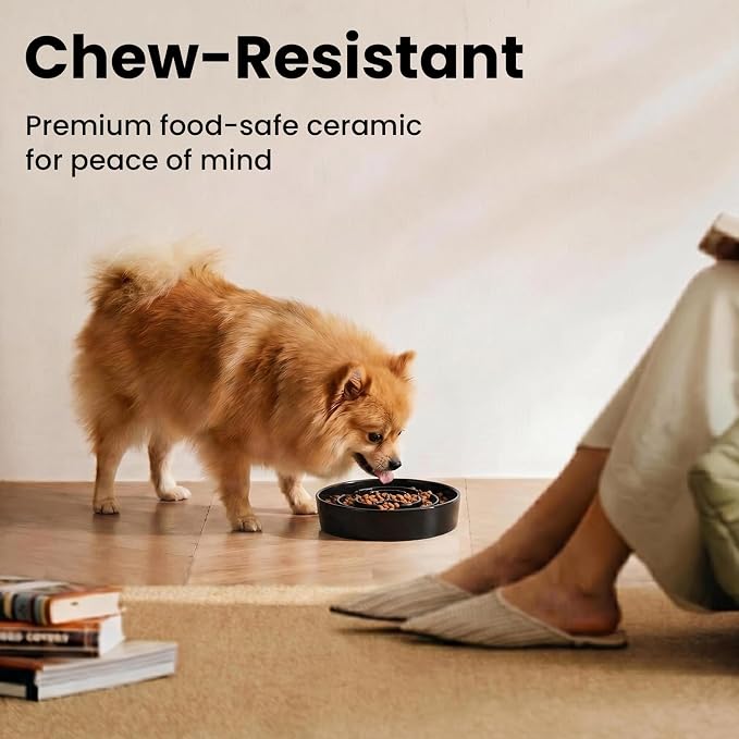 Ceramic Slow Feeder Dog Bowls 0.6 Cups for Small Fast Eaters,White | Reduces Bloating,6.02x1.38 Inch Dish For Daily Dog Meals, Maze Puzzle Slows Down Eating, Anti-Choking,9.0oz Water
