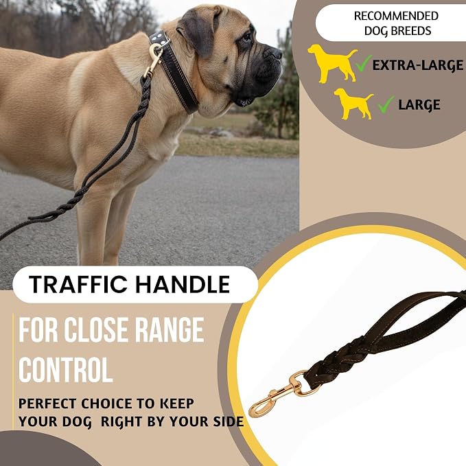 ADITYNA 6ft Leather Dog Leash with Traffic Handle for Extra-Large Dogs | Heavy-duty braided leather leash, 1" width x 6ft, Double handle for extra control, ideal for training & busy sidewalks.