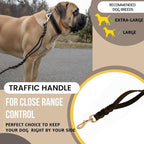 ADITYNA 6ft Leather Dog Leash with Traffic Handle for Extra-Large Dogs | Heavy-duty braided leather leash, 1" width x 6ft, Double handle for extra control, ideal for training & busy sidewalks.