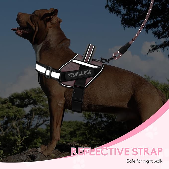 Service Dog Vest Harness and Leash Set, Animire in Training Dog Harness with 10 Dog Patches, Reflective Dog Leash with Soft Padded Handle for Small, Medium, Large, and Extra-Large Dogs (Pink,XS)
