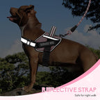 Service Dog Vest Harness and Leash Set, Animire in Training Dog Harness with 10 Dog Patches, Reflective Dog Leash with Soft Padded Handle for Small, Medium, Large, and Extra-Large Dogs(Pink,M)