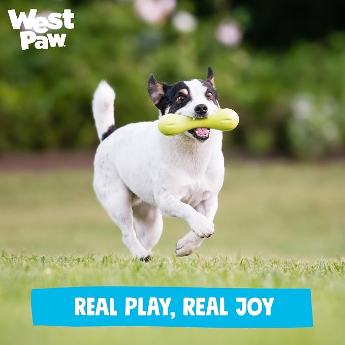WEST PAW Zogoflex Hurley Dog Bone Chew Toy – Floatable Pet Toys for Aggressive Chewers, Catch, Fetch – Bright-Colored Bones for Dogs – Recyclable, Dishwasher-Safe, Non-Toxic, Small, Granny Smith