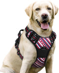 rabbitgoo Dog Harness, No Pull for Large Dogs with 2 Leash Clips, Pet Vest | No Choke with Handle, Adjustable Soft Padded, Reflective, Easy Control for Walking, Red Stripe, Large