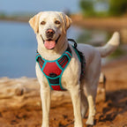rabbitgoo Dog Harness, No Pull for Large Dogs with 2 Leash Clips, Pet Vest | No Choke with Handle, Adjustable Soft Padded, Reflective, Easy Control for Walking, Red & Teal, X-Large