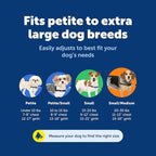PetSafe Easy Walk Harness for Dogs - Pull-Free Walks - Patented Martingale Loop Design - Front Chest Leash Attachment - Comfort Straps - Breathable Harness Design - Small, Charcoal/Black